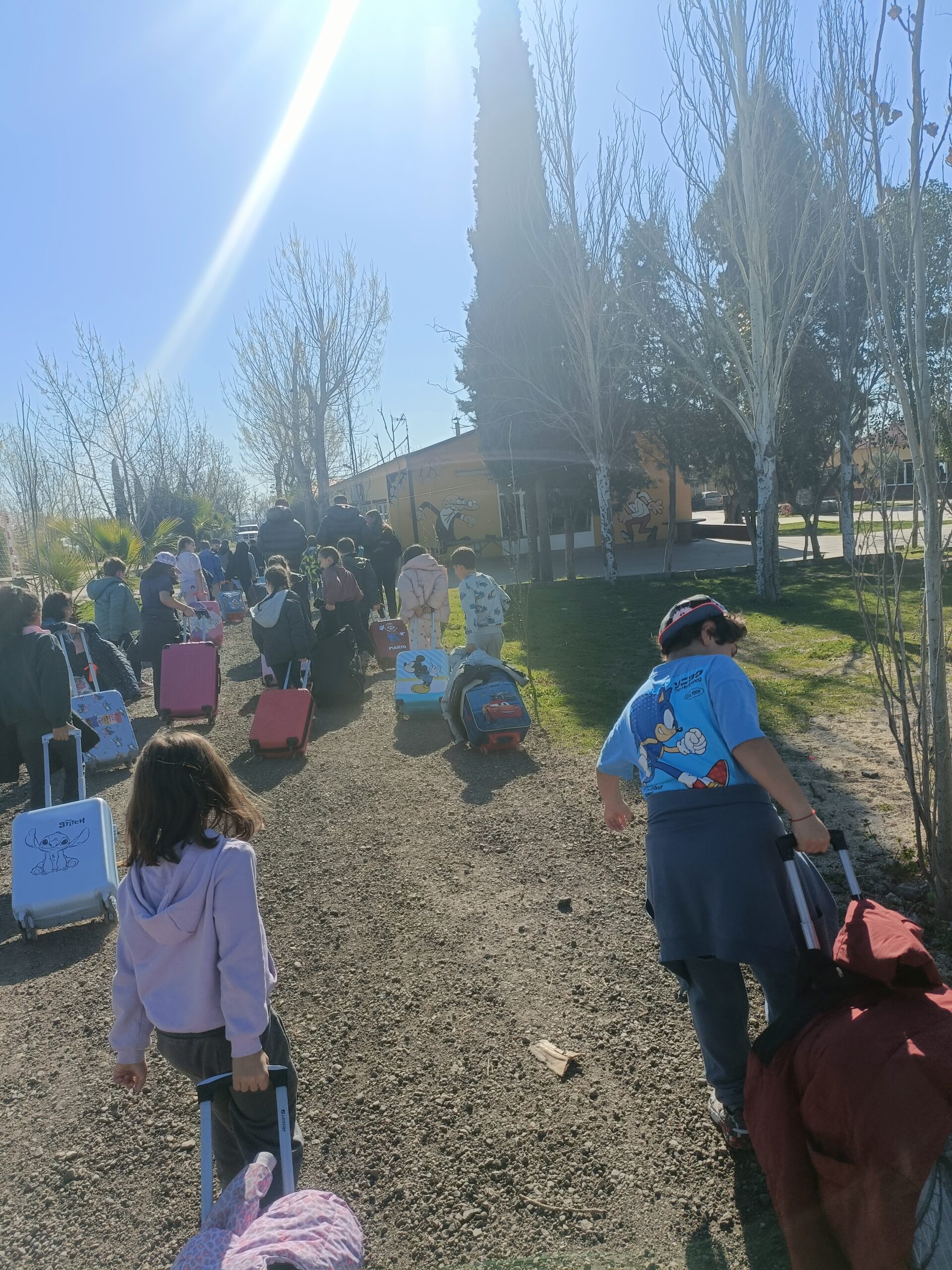 1º y 2º E. Primaria están en Toledo